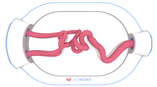 EVIAS -HMS -Cartridge - #0576