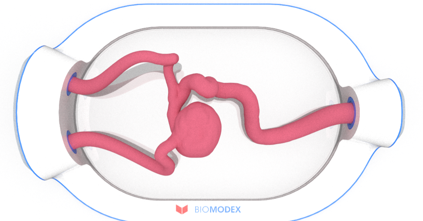 EVIAS -HMS -Cartridge - #0545