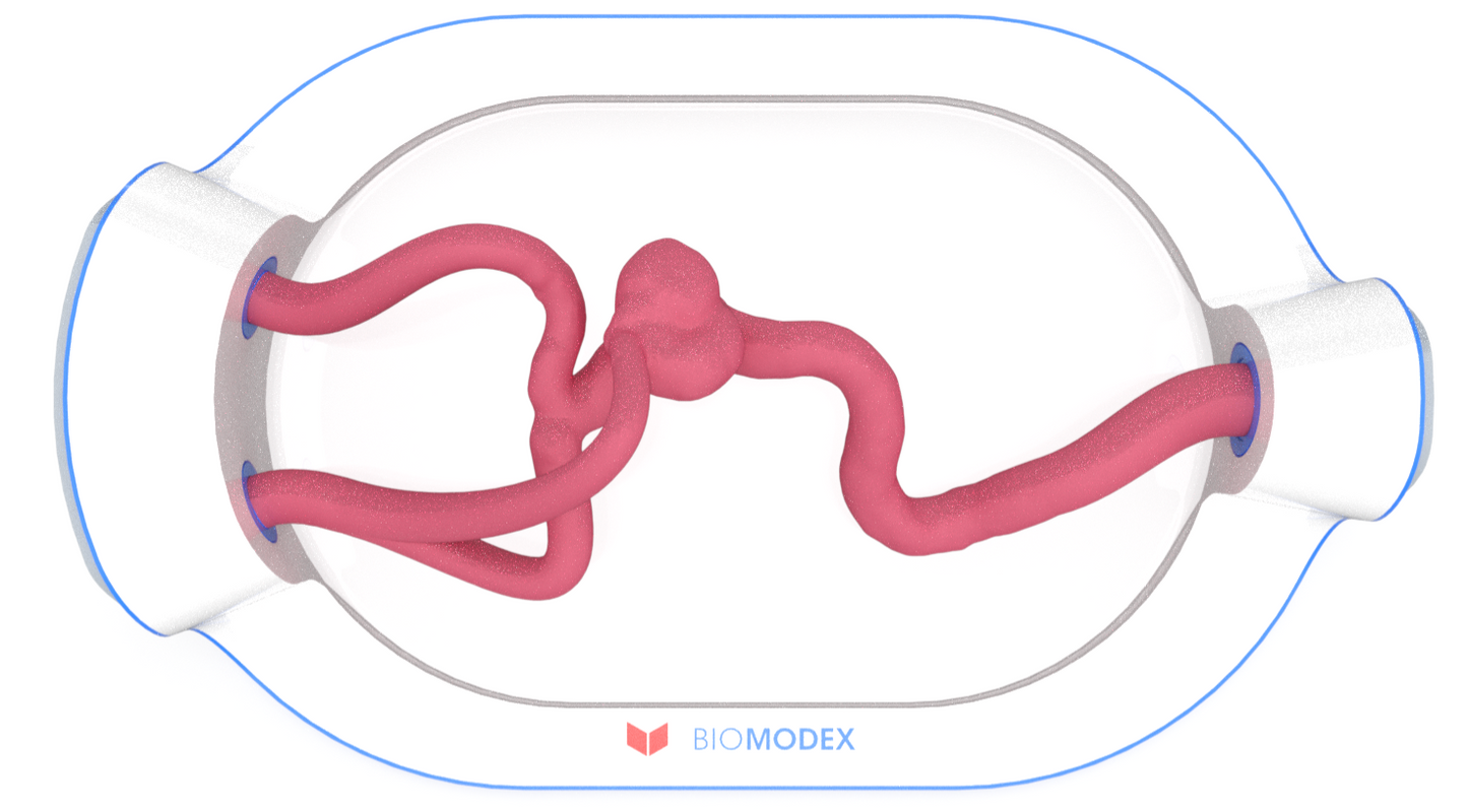 EVIAS -HMS -Cartridge - #0647