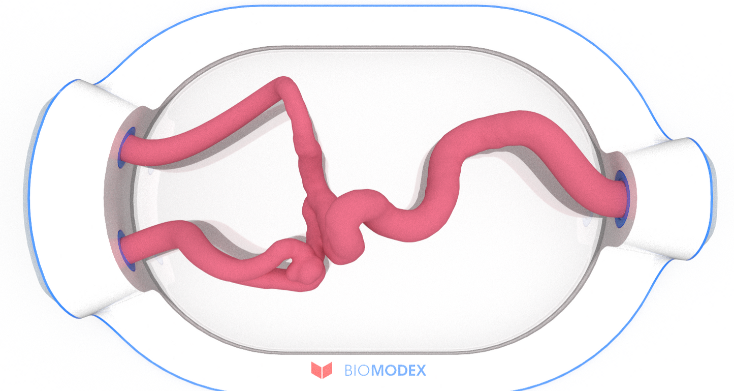 EVIAS -HMS -Cartridge - #0533