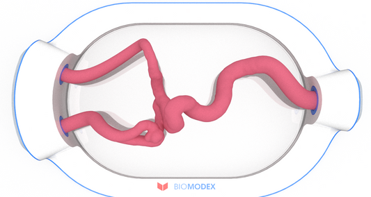 EVIAS -HMS -Cartridge - #0533