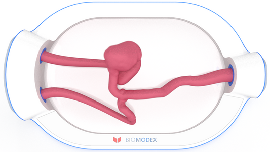 EVIAS -HMS -Cartridge - #0499