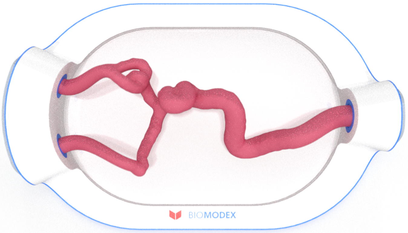 EVIAS -HMS -Cartridge - #0704