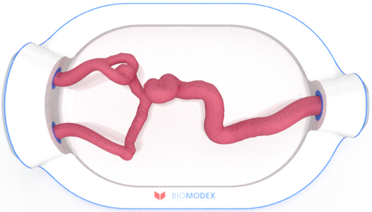 EVIAS -HMS -Cartridge - #0704