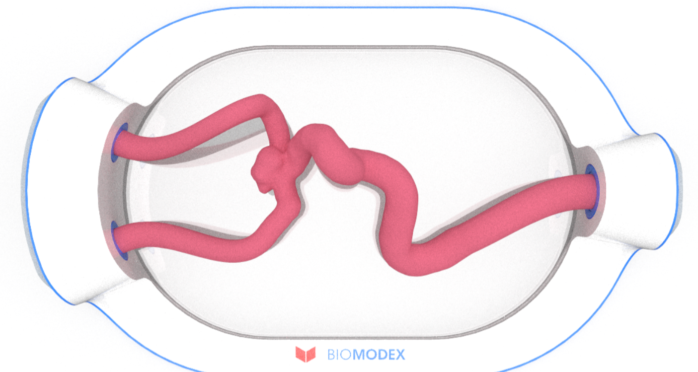 EVIAS -HMS -Cartridge - #0561