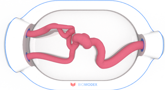 EVIAS -HMS -Cartridge - #0540