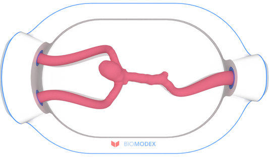 EVIAS -HMS -Cartridge - #0604