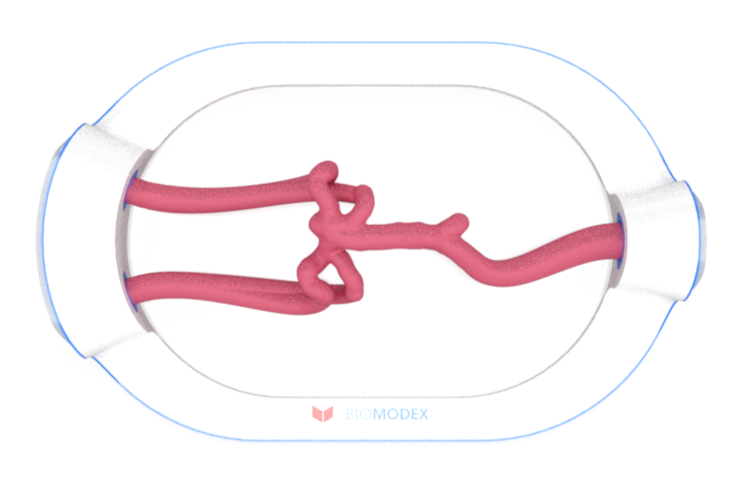 EVIAS -HMS -Cartridge - #0680