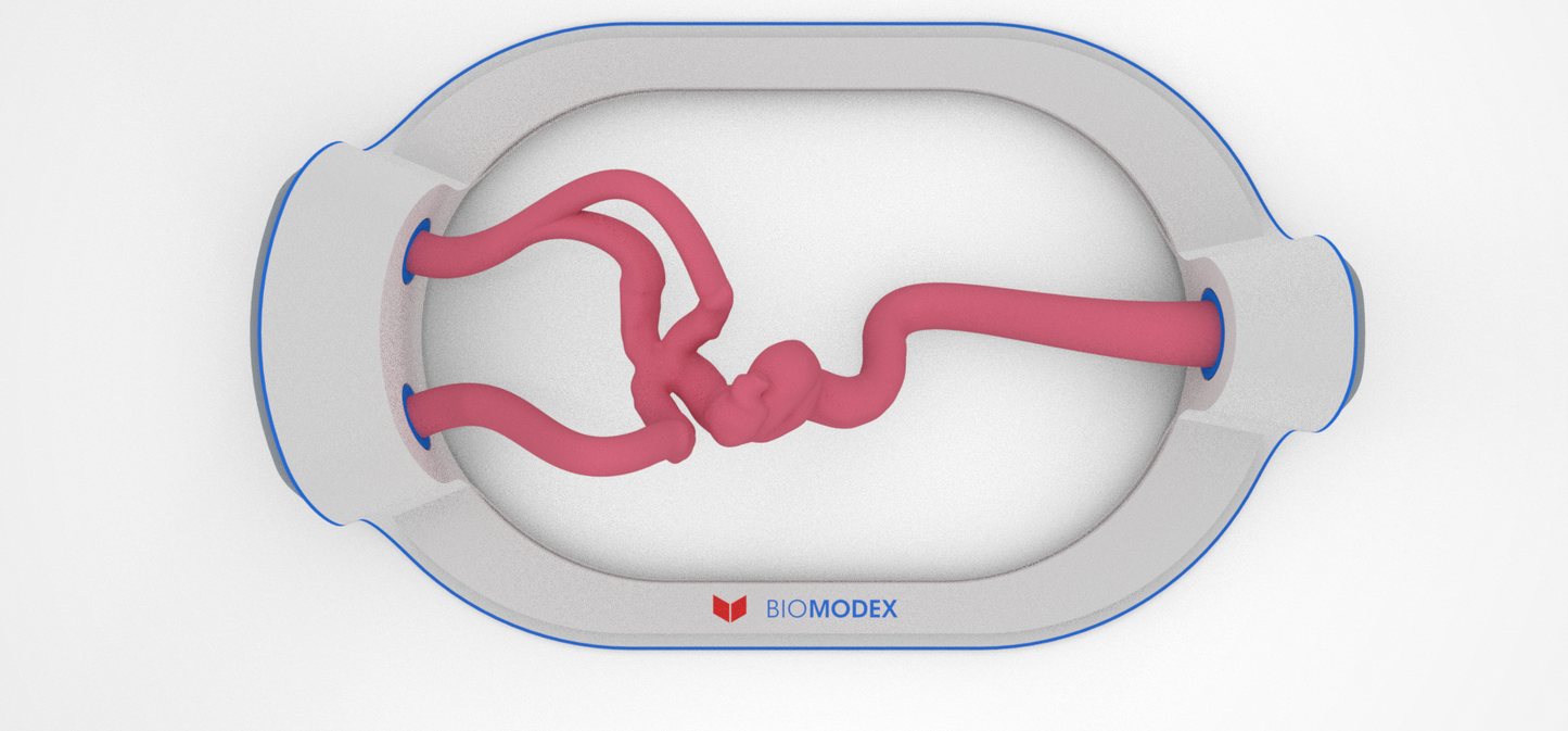 EVIAS -HMS -Cartridge - #82