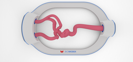 EVIAS -HMS -Cartridge - #82