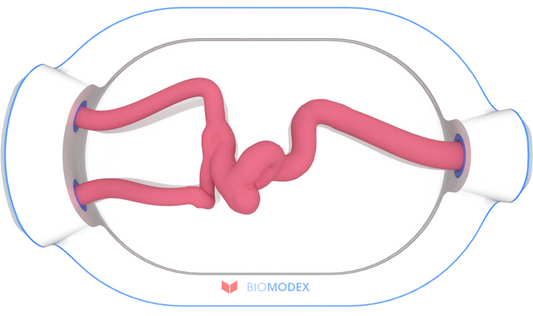 EVIAS -HMS -Cartridge - #0617