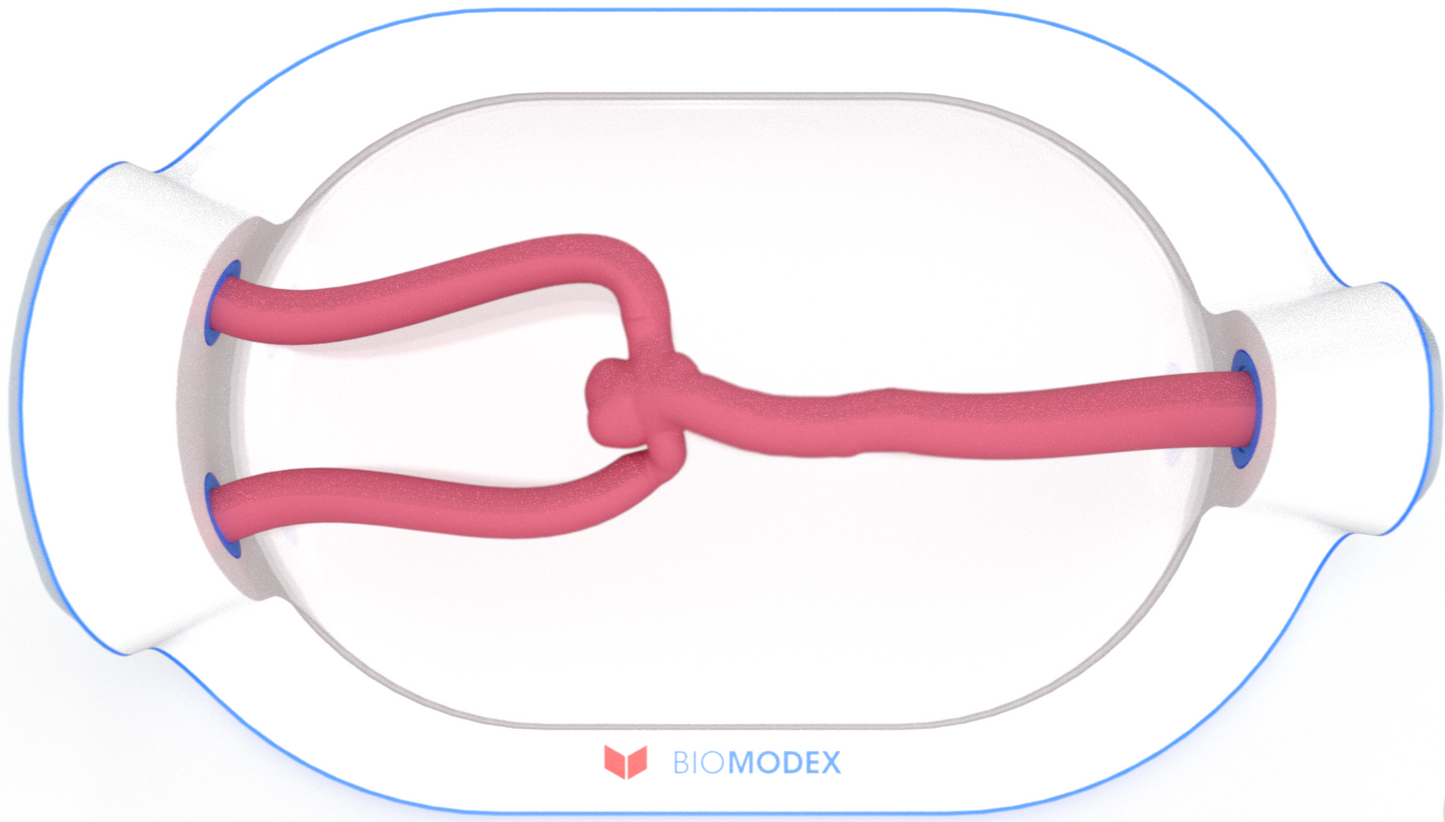 EVIAS -HMS -Cartridge - #0742