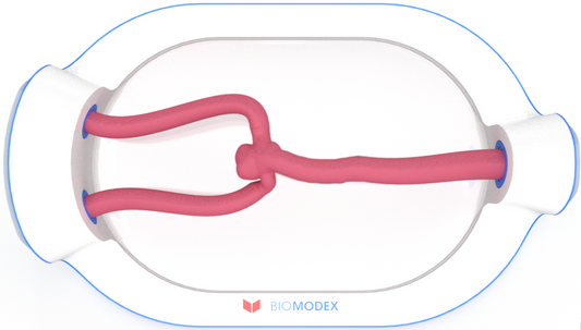 EVIAS -HMS -Cartridge - #0742