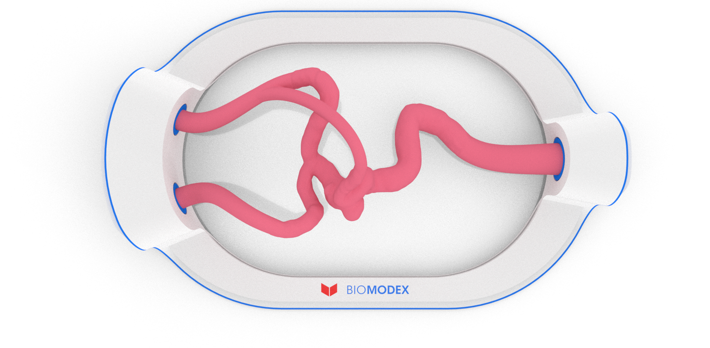 EVIAS -HMS -Cartridge - #64