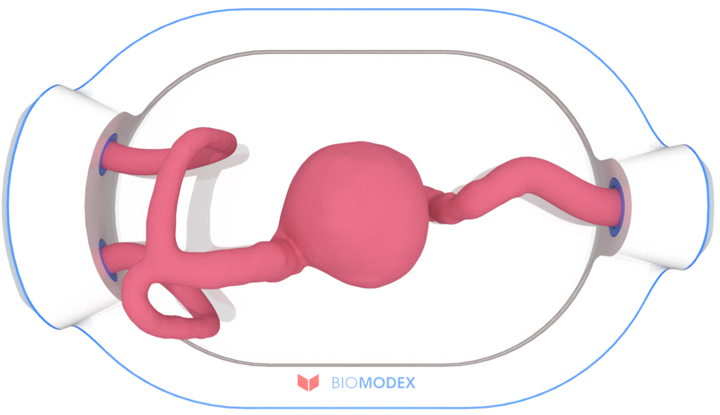 EVIAS -HMS -Cartridge - #0593