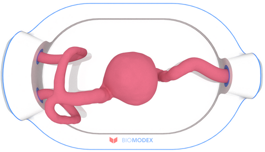 EVIAS -HMS -Cartridge - #0593