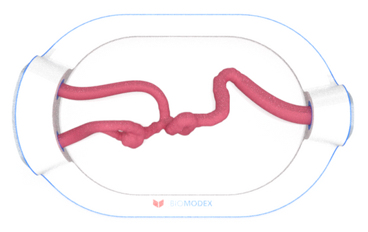 EVIAS -HMS -Cartridge - #0674