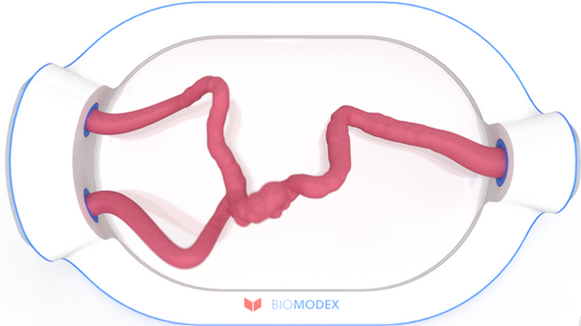 EVIAS -HMS -Cartridge - #0486