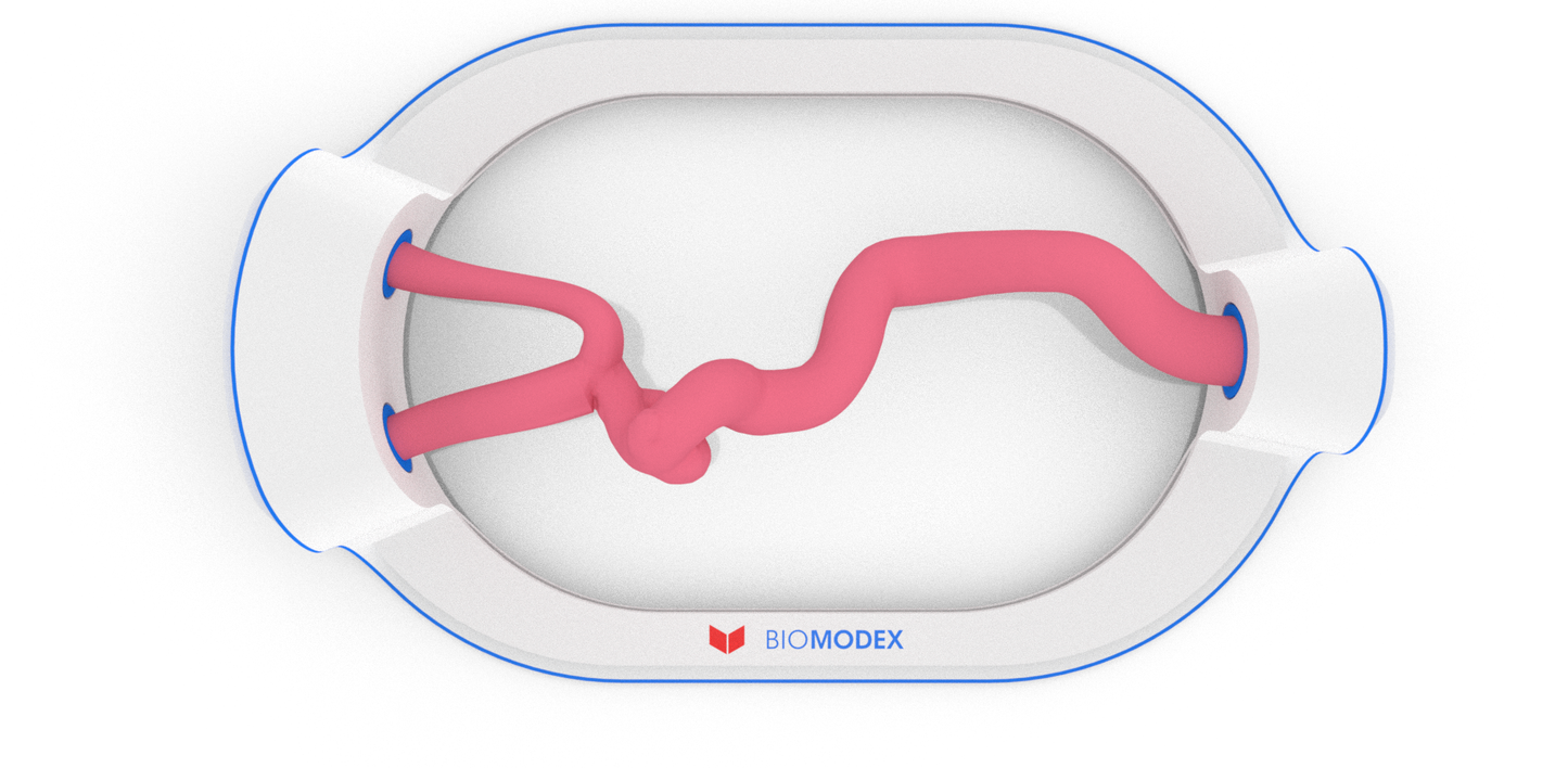 EVIAS -HMS -Cartridge - #12