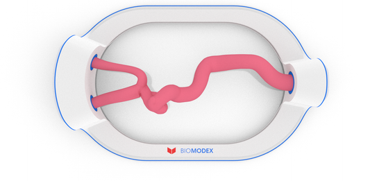 EVIAS -HMS -Cartridge - #12