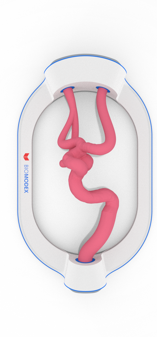 EVIAS -HMS -Cartridge - #105
