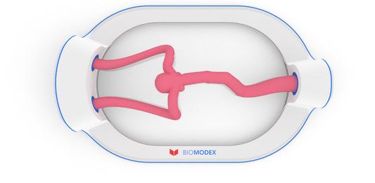 EVIAS -HMS -Cartridge - #23