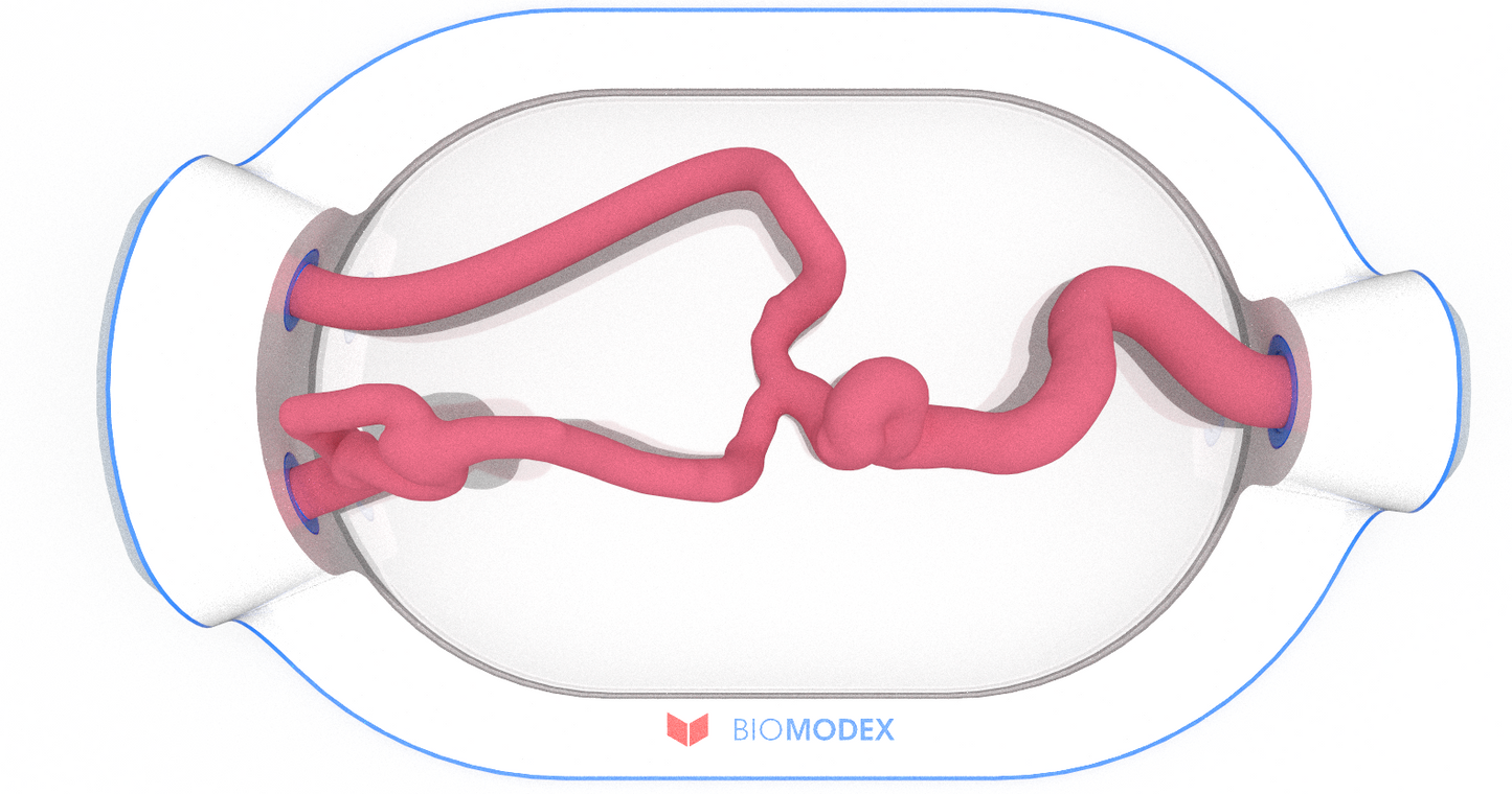 EVIAS -HMS -Cartridge - #0527