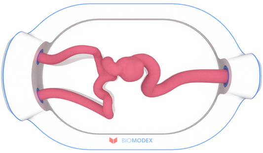 EVIAS -HMS -Cartridge - #0595