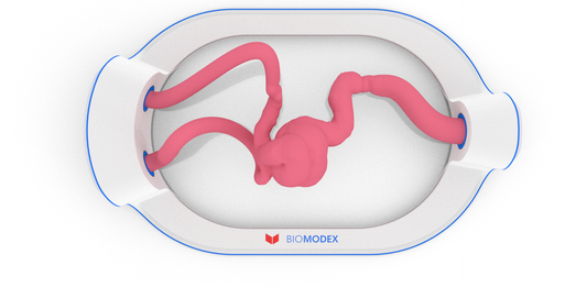 EVIAS -HMS -Cartridge - #66