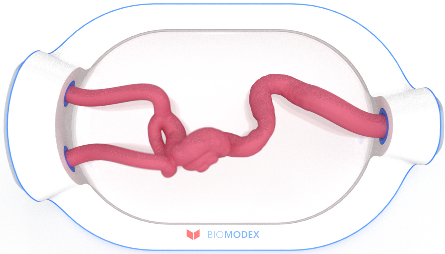 EVIAS -HMS -Cartridge - #0743