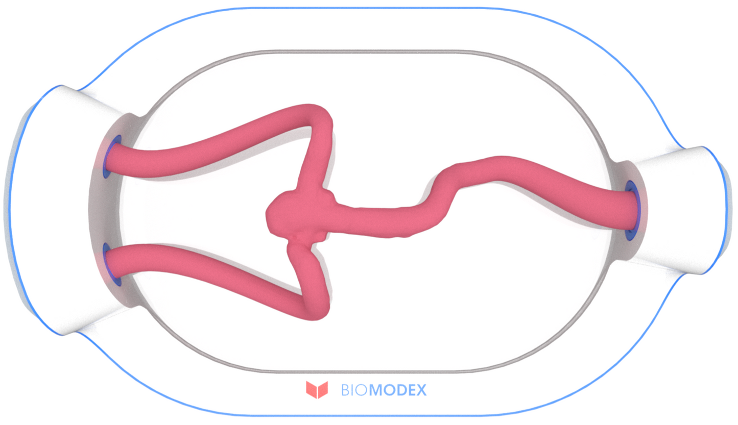 EVIAS -HMS -Cartridge - #0599