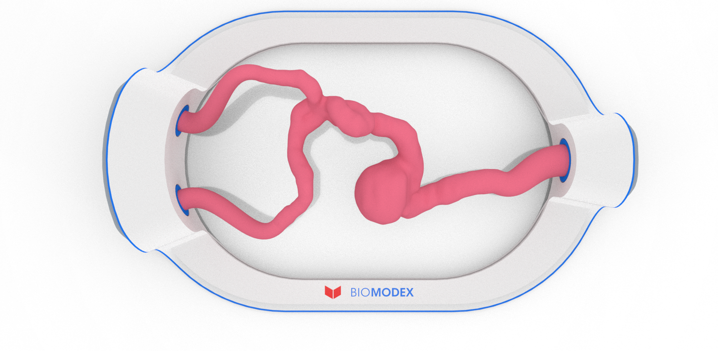 EVIAS -HMS -Cartridge - #337