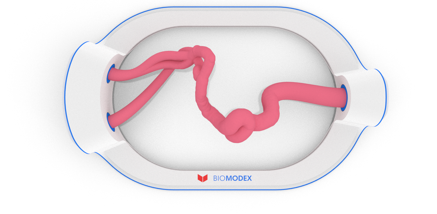 EVIAS -HMS -Cartridge - #37