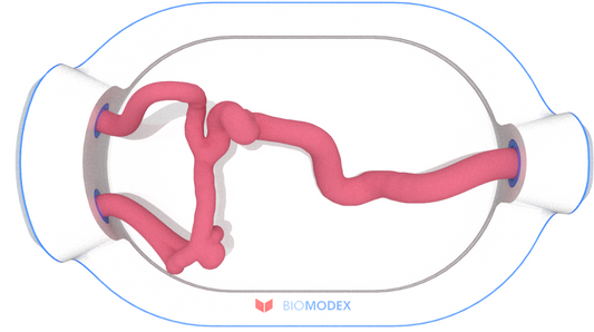 EVIAS -HMS -Cartridge - #0586