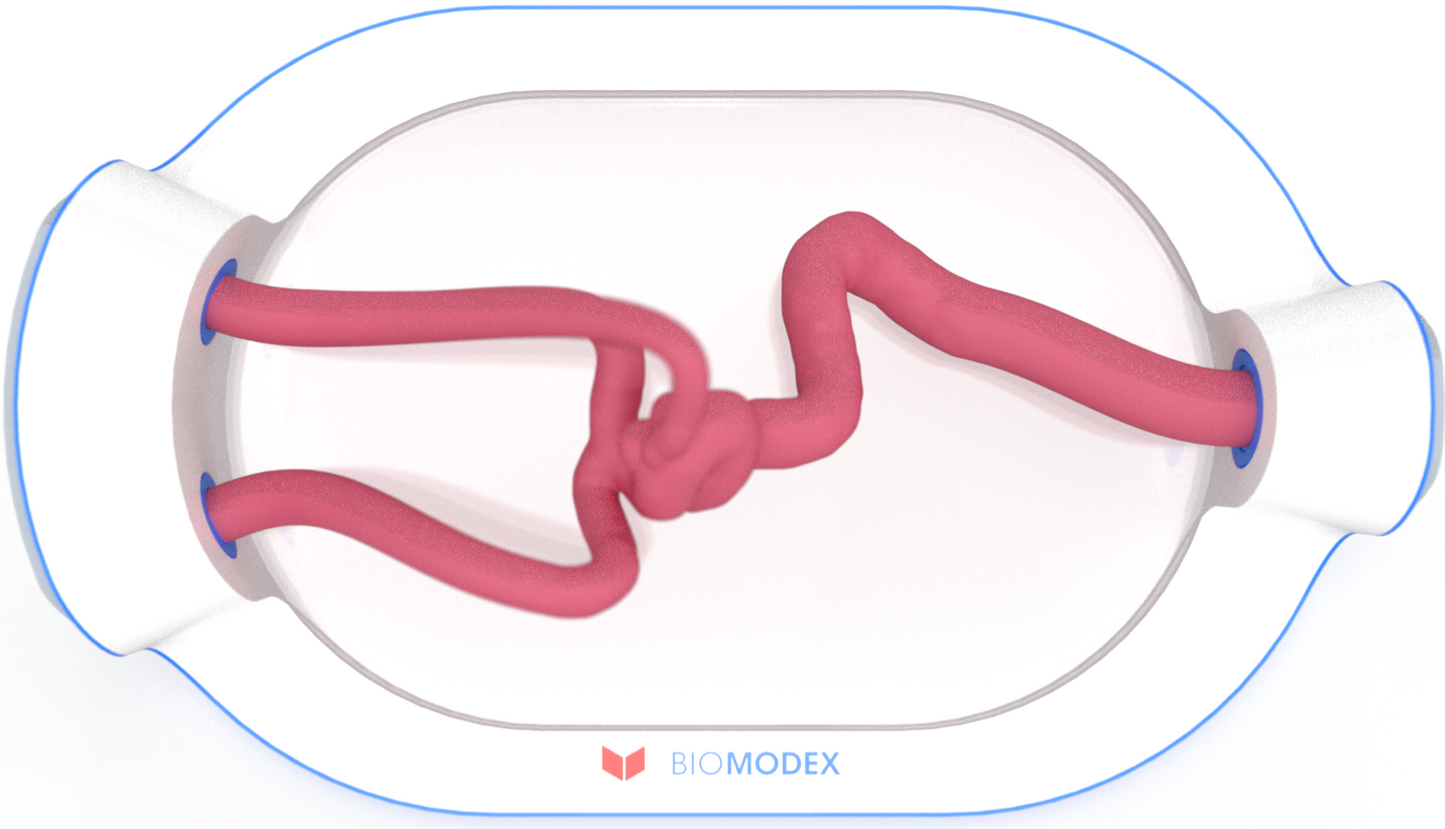 EVIAS -HMS -Cartridge - #0752