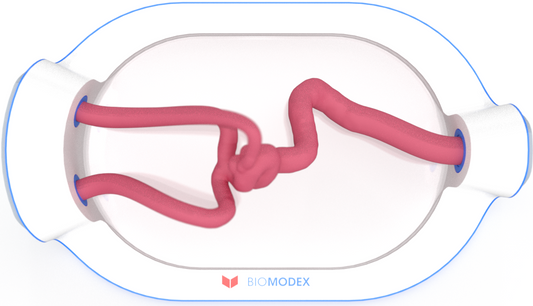 EVIAS -HMS -Cartridge - #0752