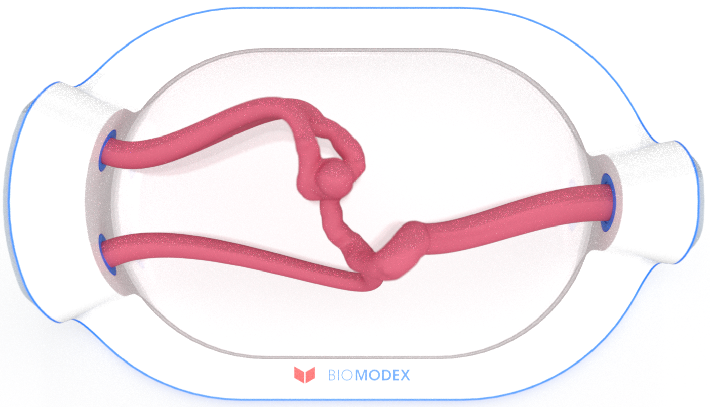 EVIAS -HMS -Cartridge - #0699