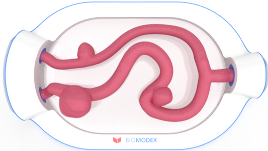 EVIAS -HMS -Cartridge - #0726