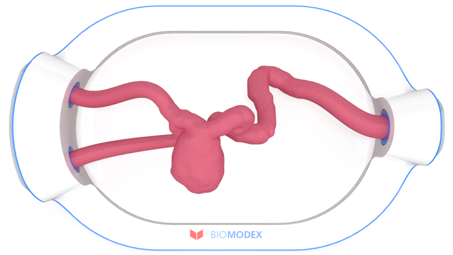 EVIAS -HMS -Cartridge - #0661