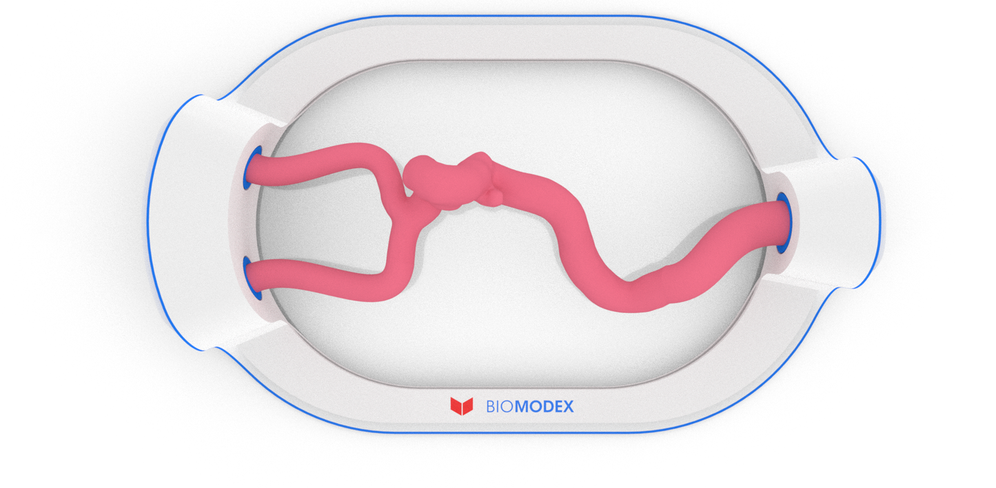 EVIAS -HMS -Cartridge - #21