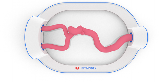 EVIAS -HMS -Cartridge - #21