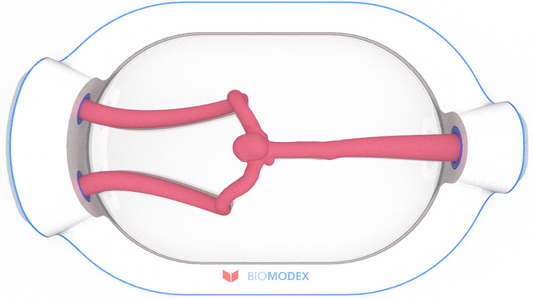 EVIAS -HMS -Cartridge - #0532