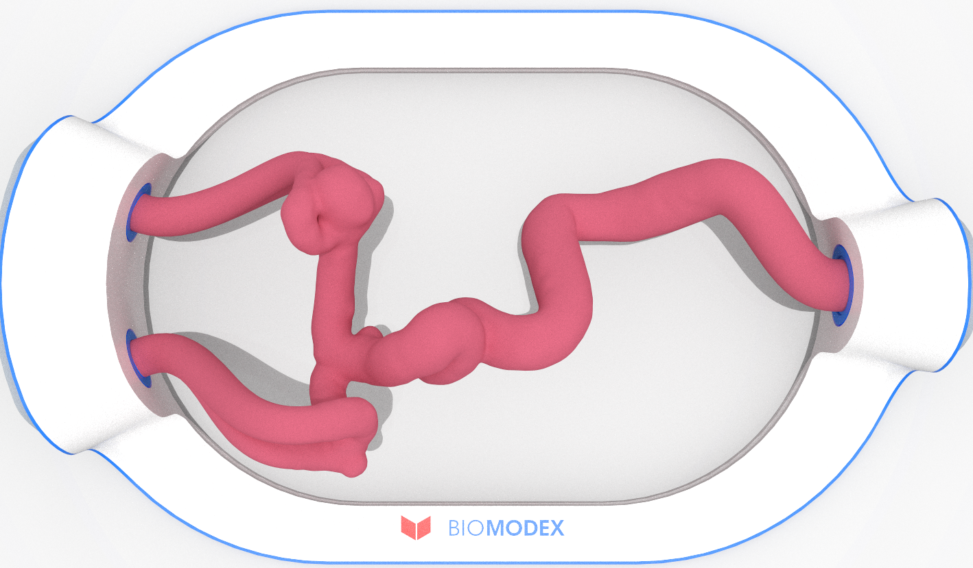 EVIAS -HMS -Cartridge - #0518