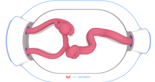 EVIAS -HMS -Cartridge - #0566