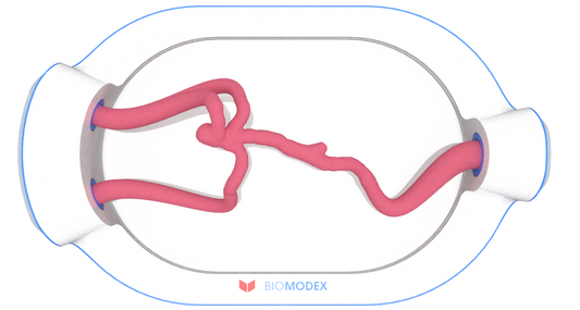 EVIAS -HMS -Cartridge - #0591