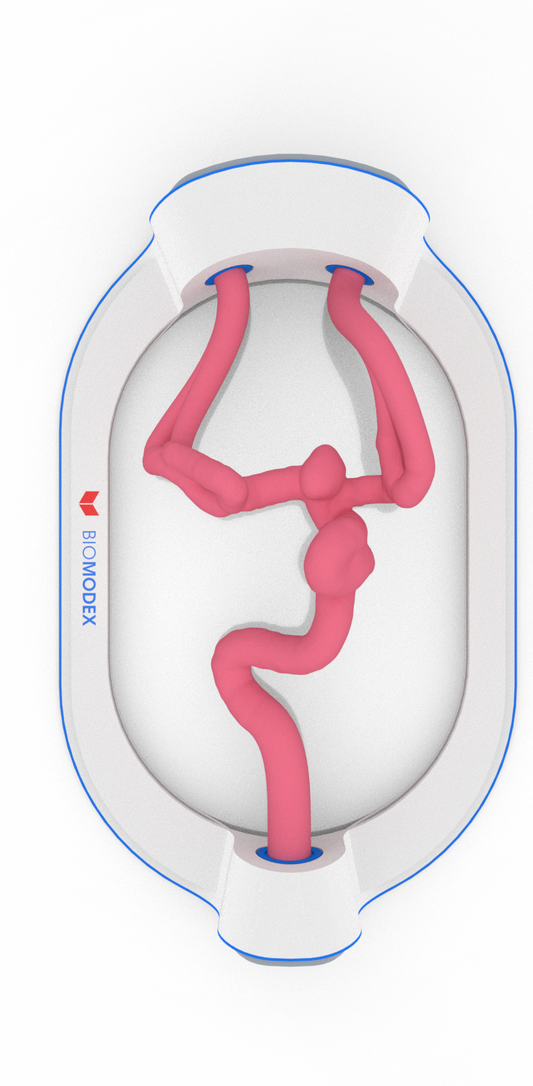 EVIAS -HMS -Cartridge - #427