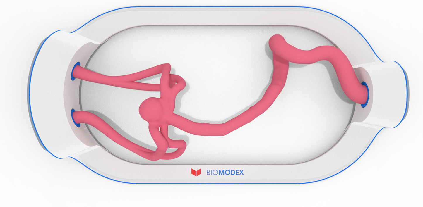 EVIAS -HMS -Cartridge - #331