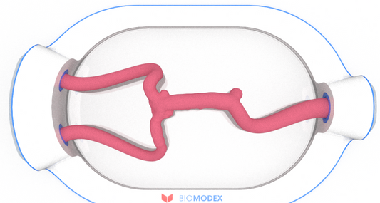 EVIAS -HMS -Cartridge - #0562