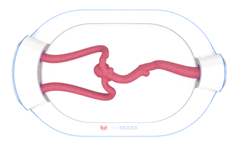 EVIAS -HMS -Cartridge - #0677