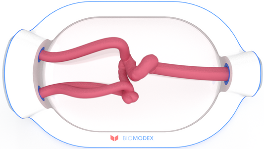 EVIAS -HMS -Cartridge - #0748